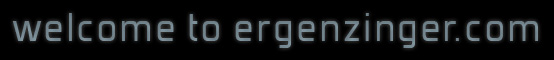 welcome to ergenzinger.com